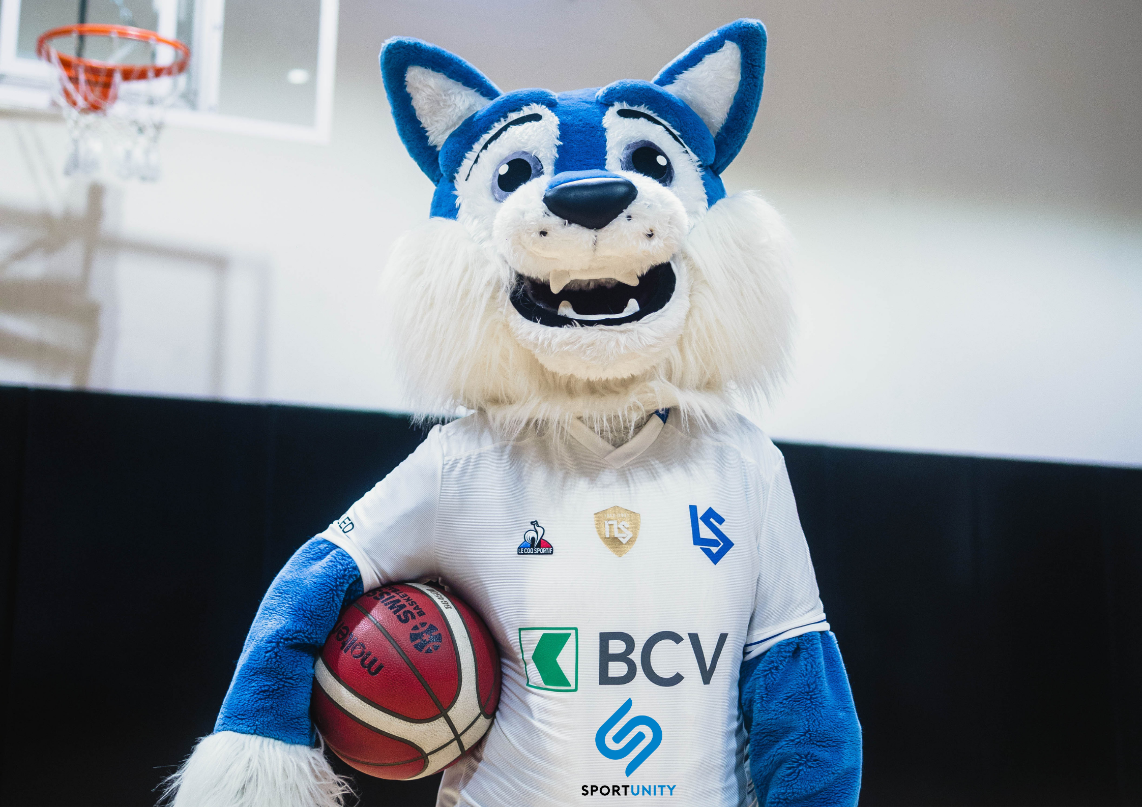 Le coq sportif wolf sales