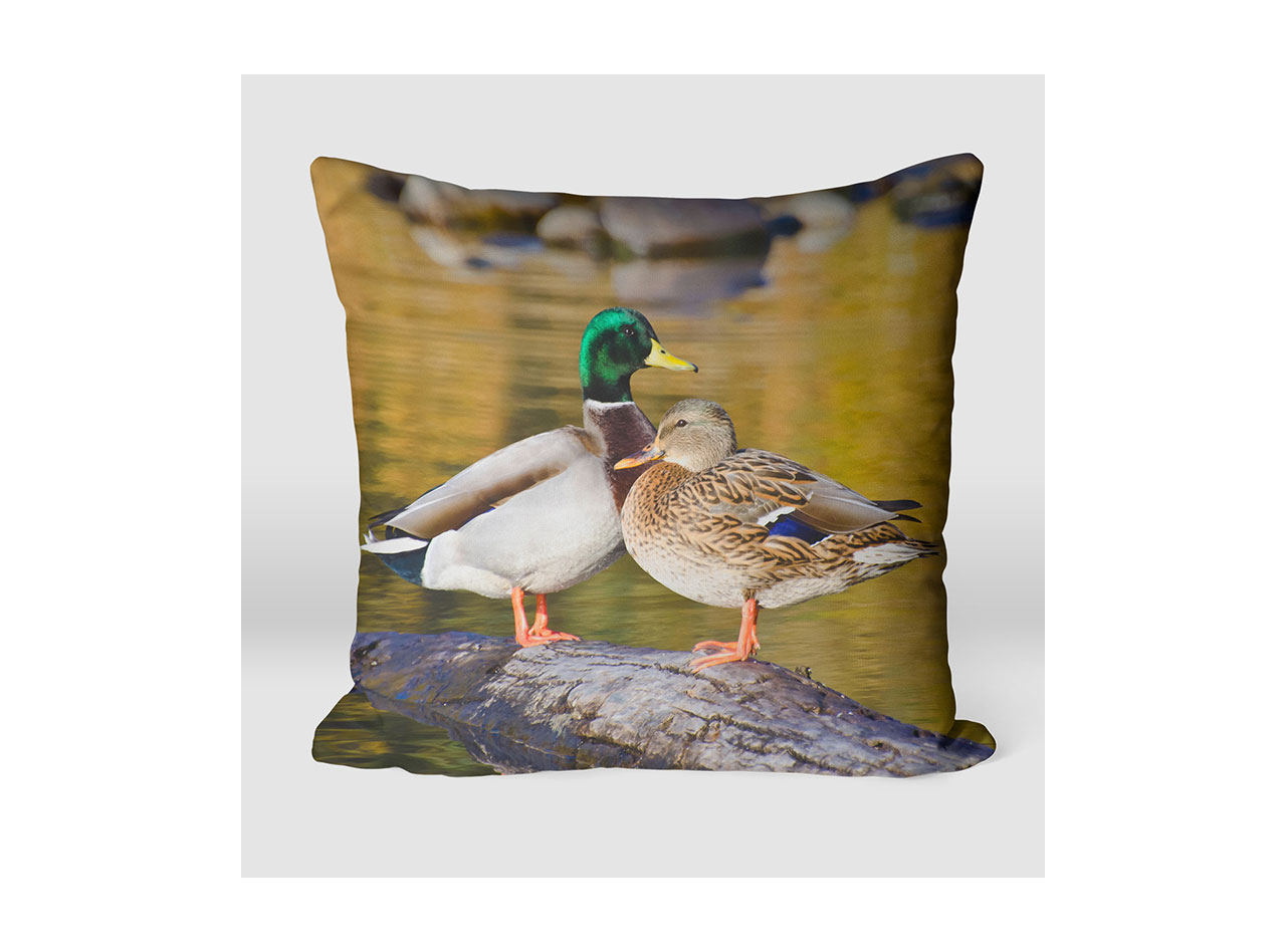 A photo pillow showcasing an image of a pair of Mallard ducks 