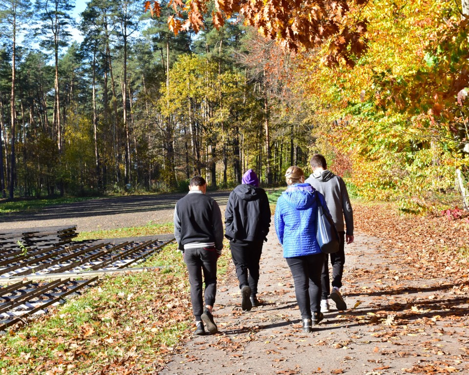 Zajęcia w szkółce leśnej | Trzech chłopców z wychowawczynią, odwróceni tyłem, idą leśną drogą. Z lewej strony poletka szkółki leśnej z sadzonkami, po prawej jesienne drzewa, w tle ściana lasu iglastego..JPG