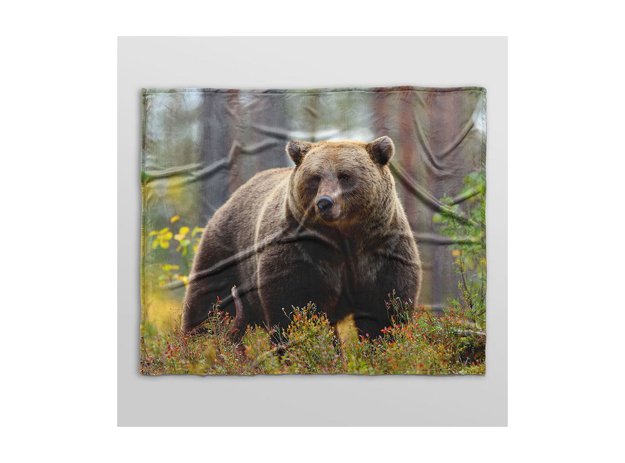 A fleece blanket featuring a photo of a large bear. 