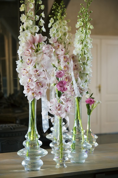 Cymbidium Inspirations