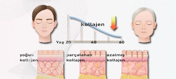 cilt_yaşlanma.webp