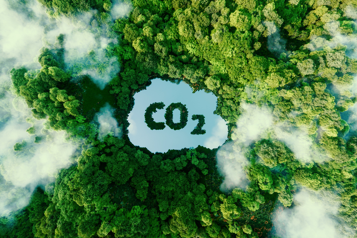 CO2.jpg