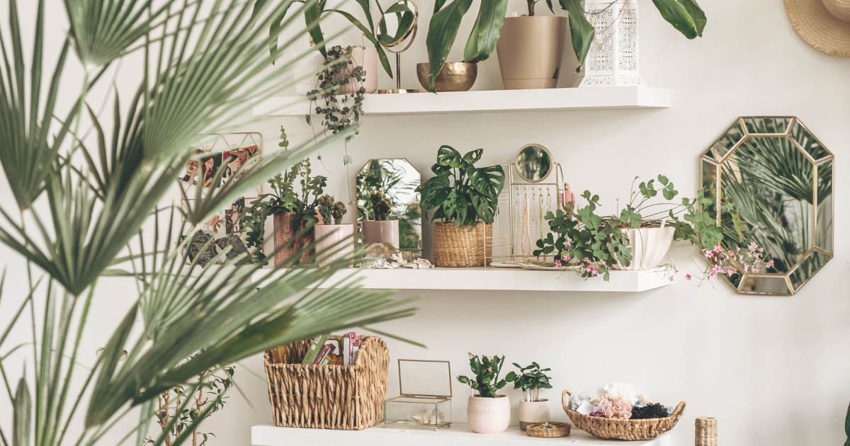 Greenhouse-Inspired Shelves.png