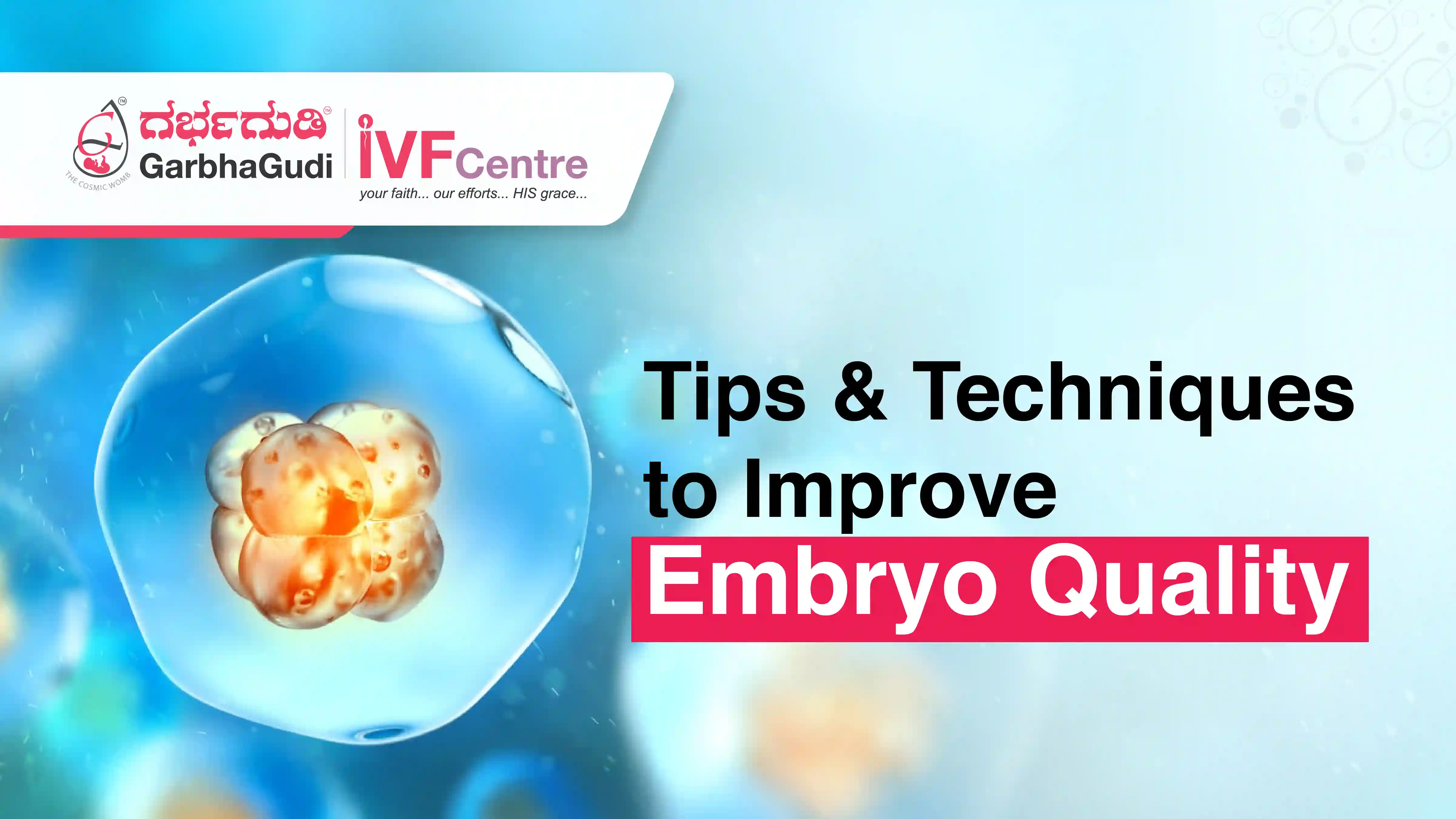 Improving Embryo Quality: Tips and Techniques