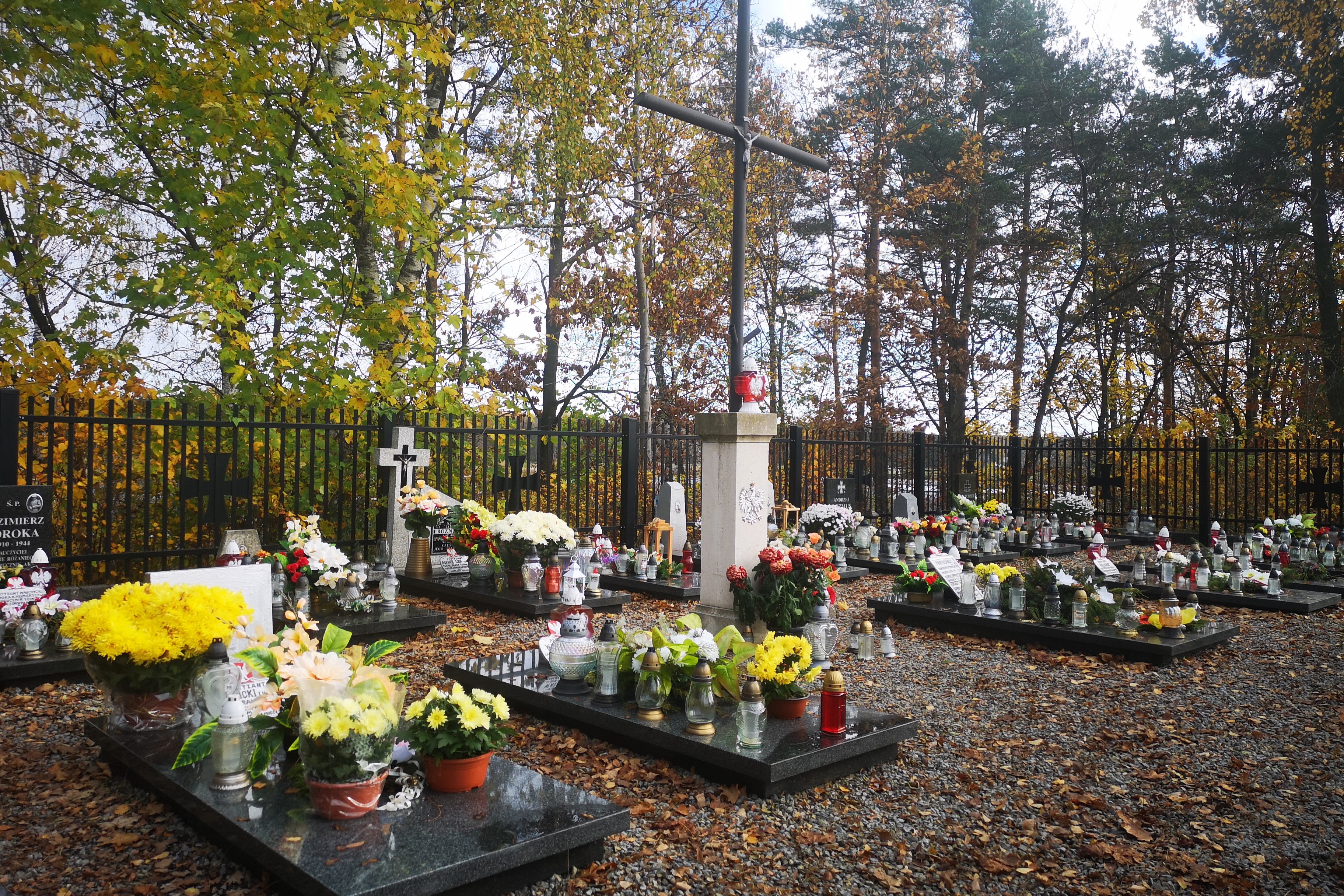 Blizny historii. Ślady II wojny światowej i nie tylko w naszej okolicy | Cmentarz z niskimi mogiłami z ciemnego kamienia, na nich świeże chryzantemy i znicze. Między mogiłami wysoki biały obelisk, obok jeszcze wyższy czarny krzyż. W tle parkan i jesienne drzewa..jpg