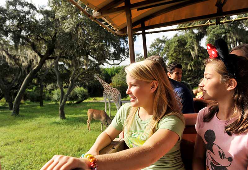 Disney's Animal Kingdom® Theme Park