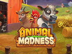 Animal Madness