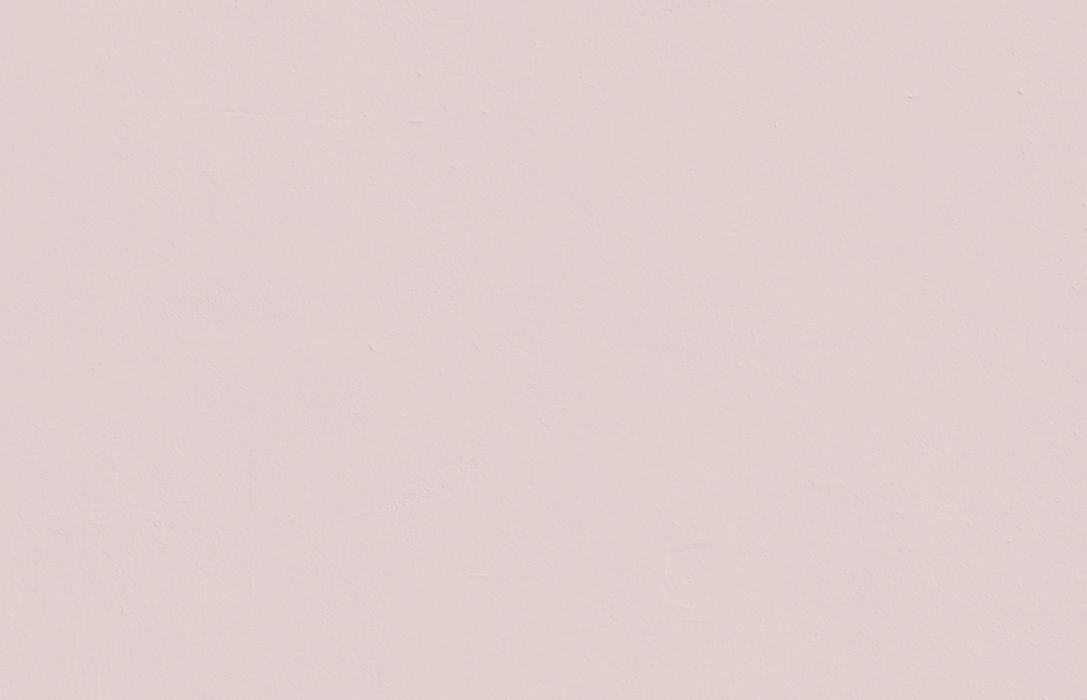 Pink 04: Muted Grey Pink - Matt Interior Paint