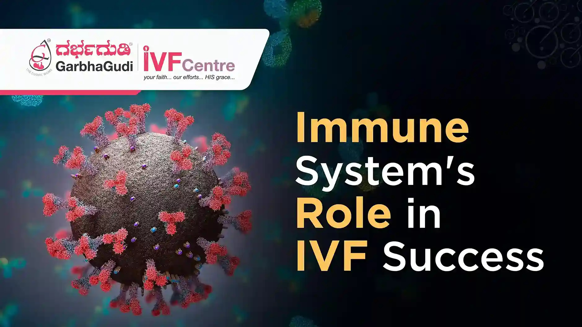 How a Strong Immune System Can Improve IVF Success Rates