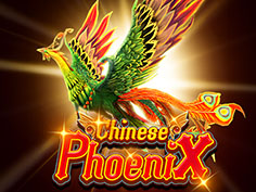 Chinese Phoenix