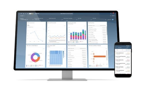 SAP Business One Screenshot