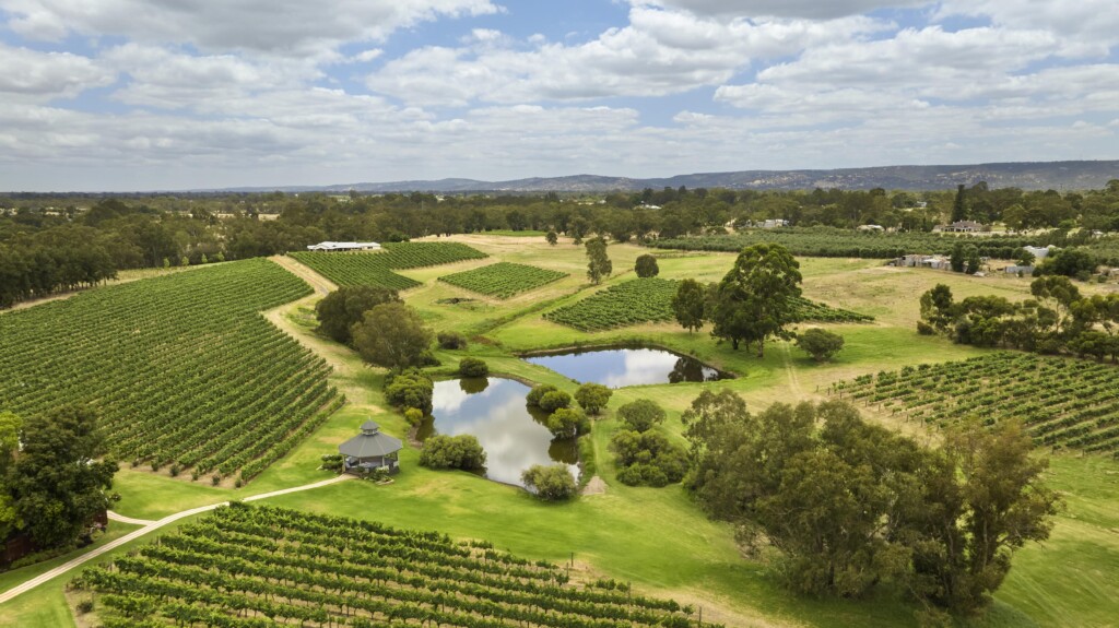 2023-Swan-Valley-Western-Australia-enjoy-the-spectacular-vineyard-vistas-Sittella-Winery-min-1024x575.jpg