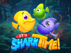 Its Shark Time