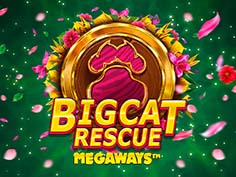 Big Cat Rescue Megaways