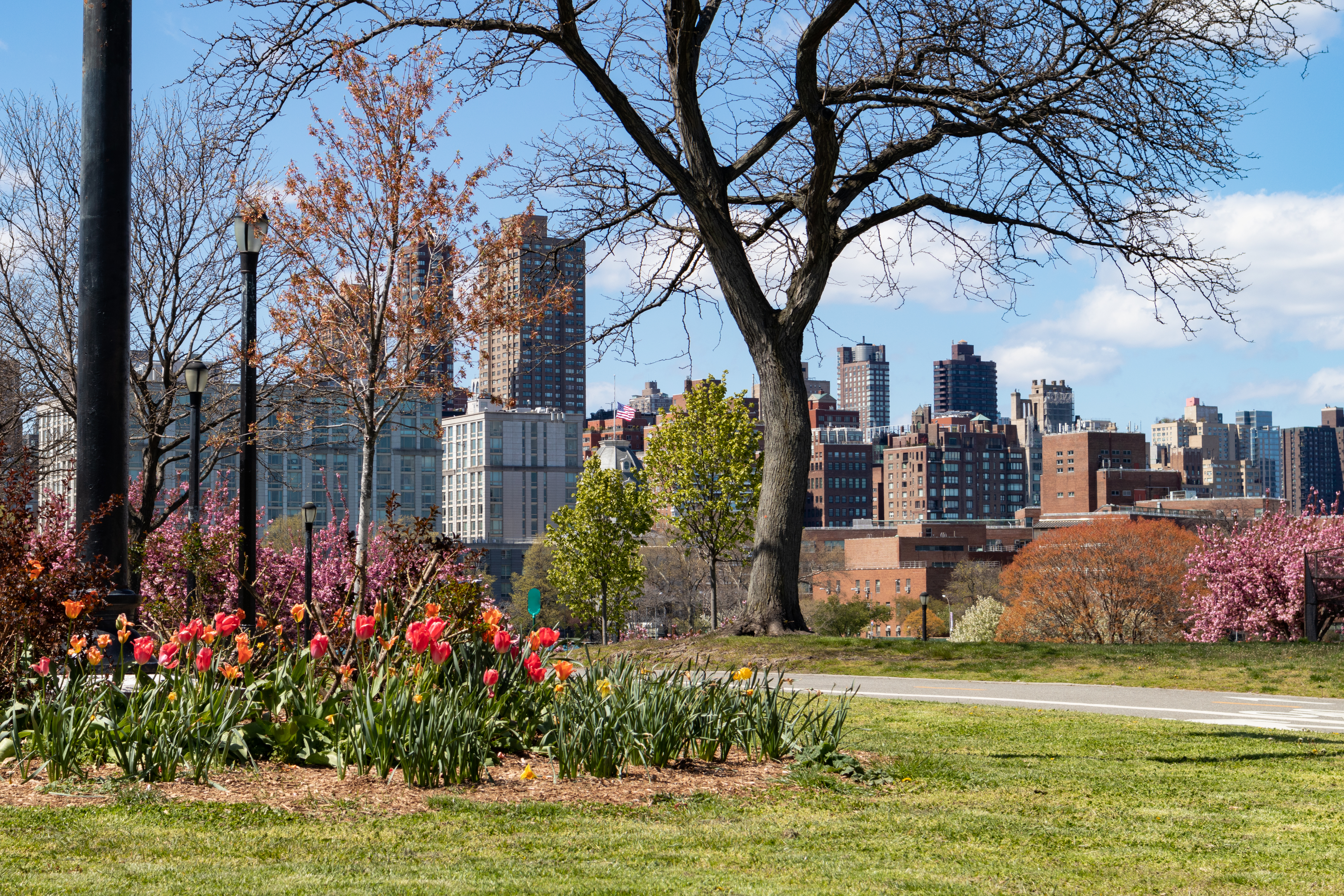 Astoria in Queens County, New York