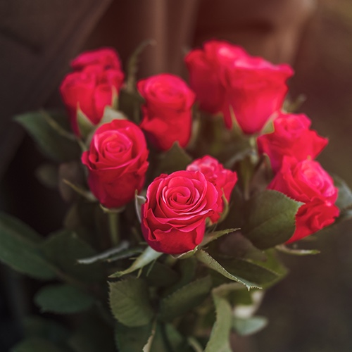 10 red roses.jfif