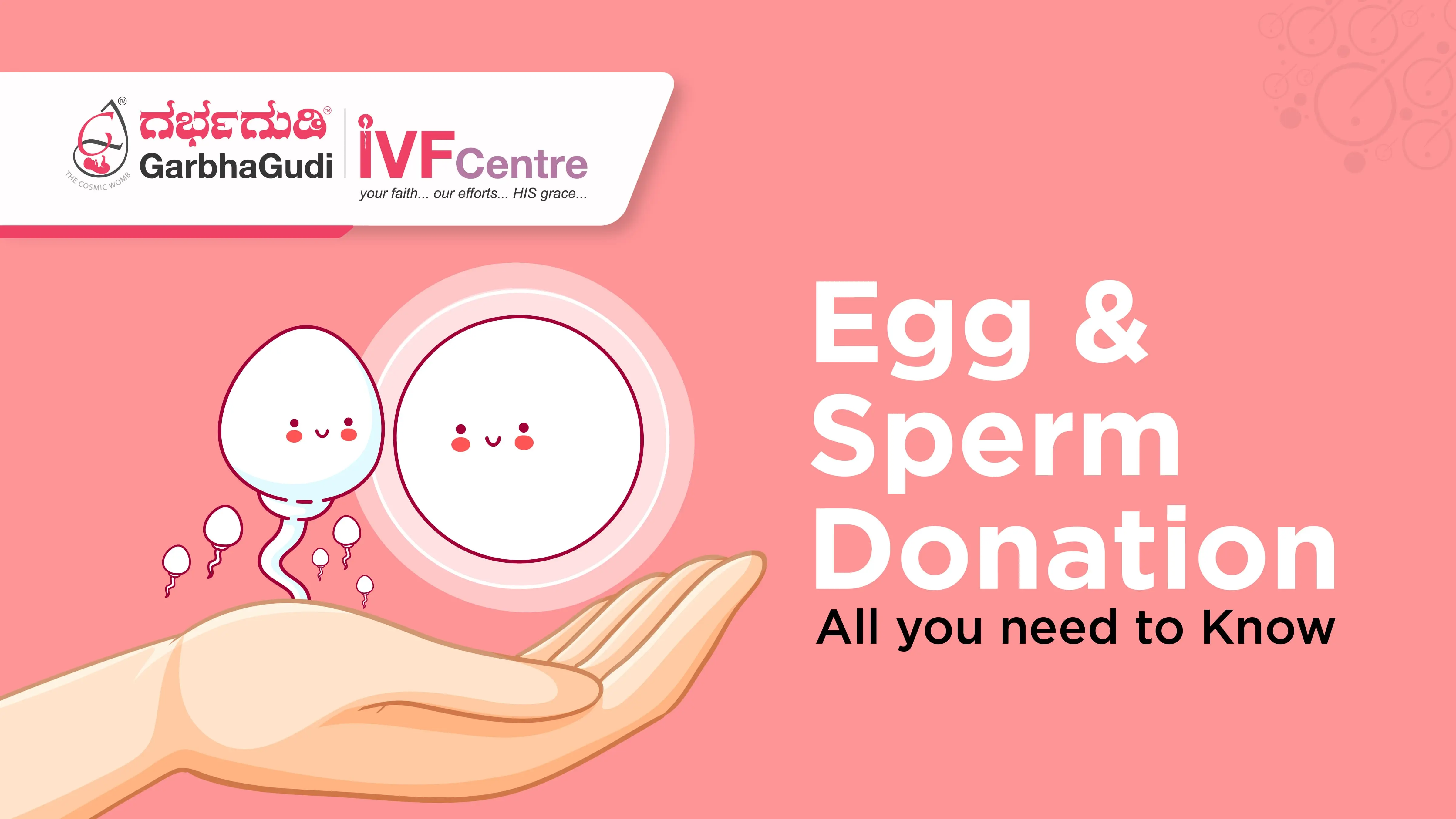 The Role of Egg and Sperm Donation in IVF: Everything You Need to Know