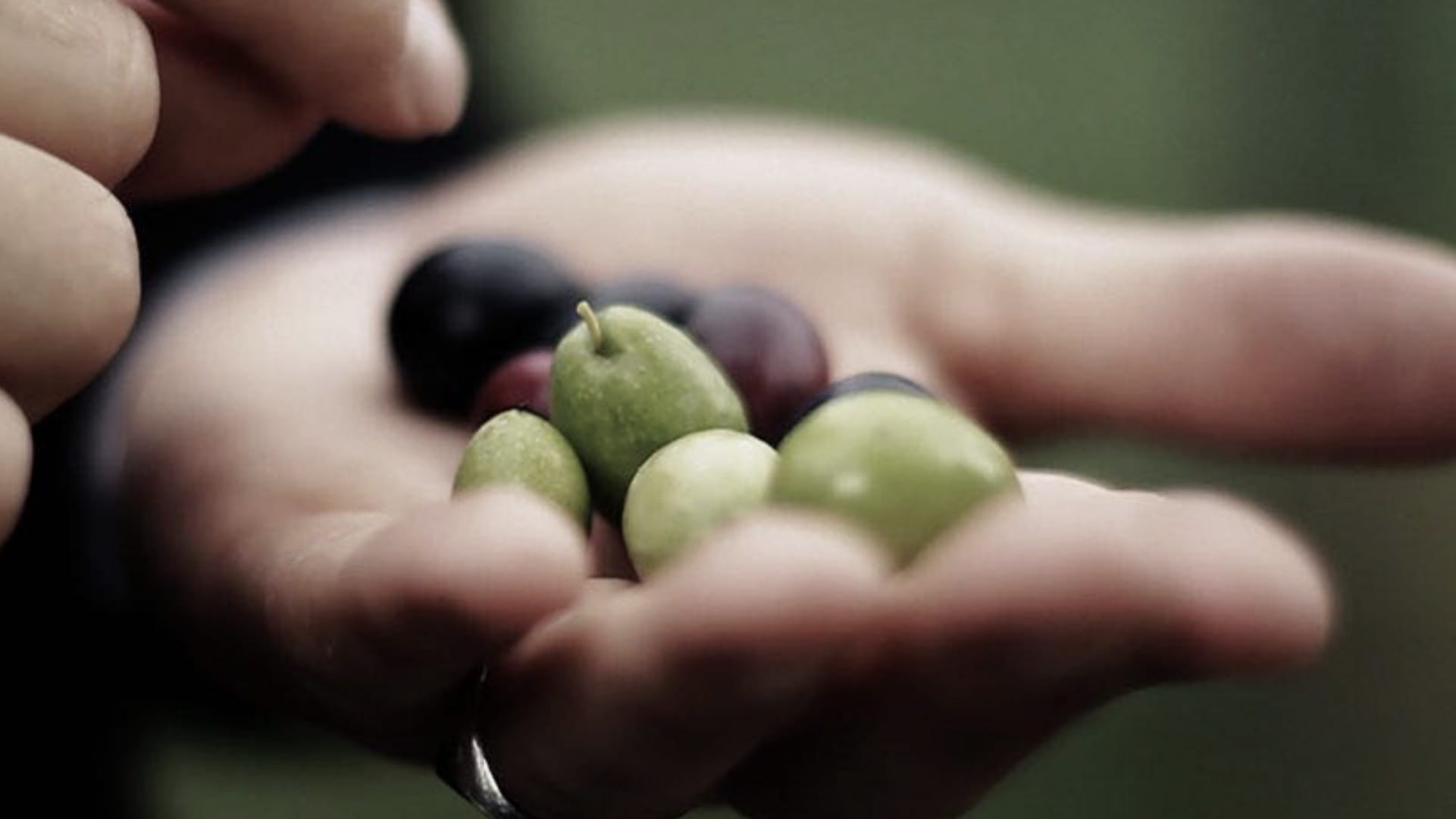saudi-olives.jpg