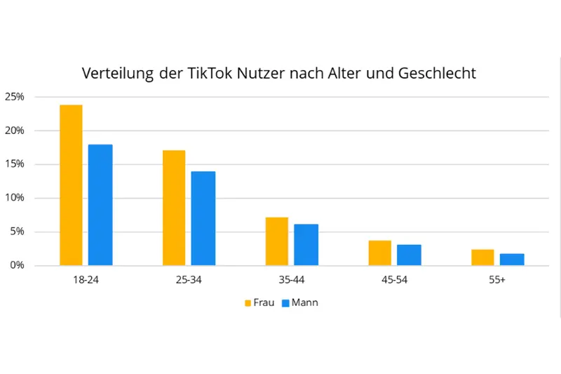 TikTok Advertising Kosten, Tipps und Ideen OMR Reviews