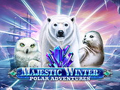 Majestic Winter - Polar Adventures