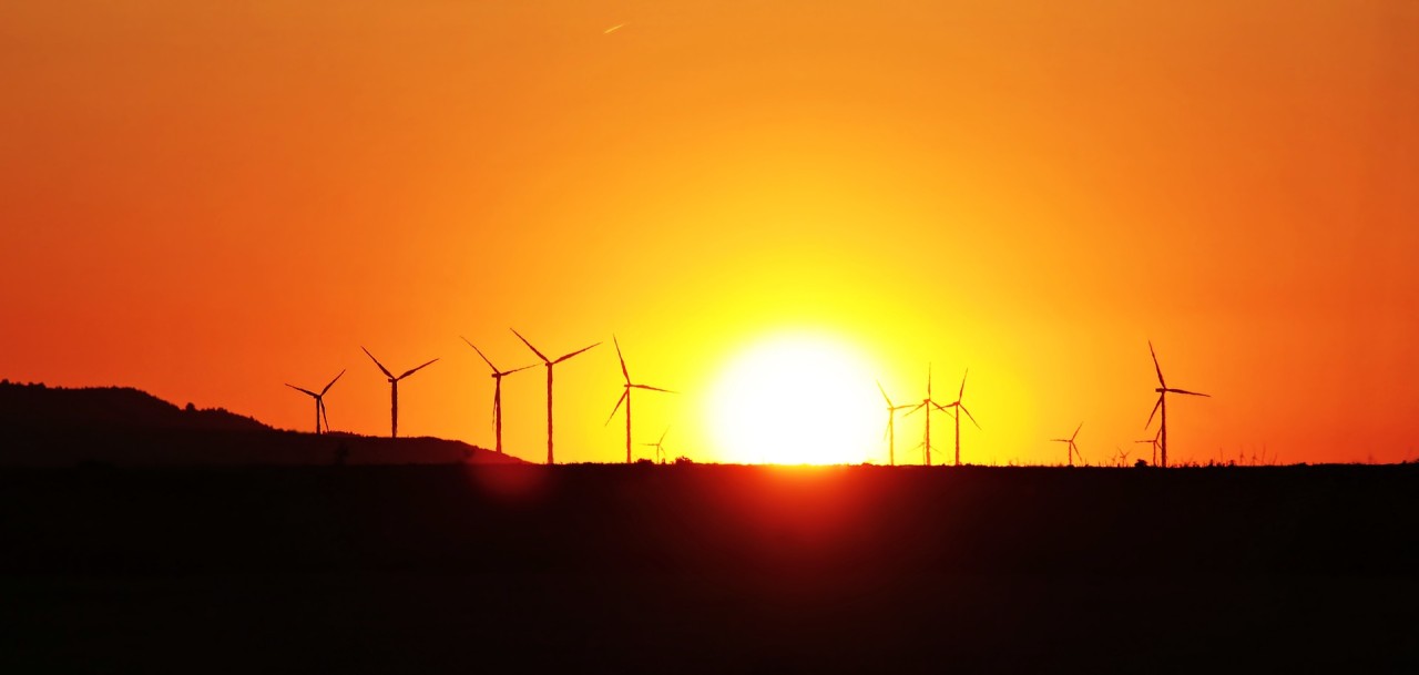 Sunrise over field with wind turbines