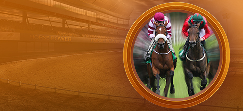 Horse Racing Form Guide: Learn how to read racing form