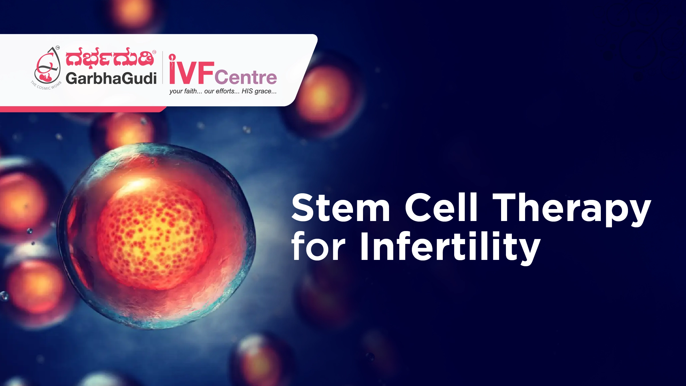 Exploring the Potential of Stem Cell Therapy in Treating Infertility