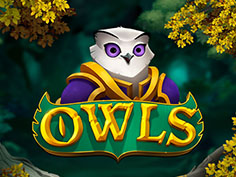 Owls