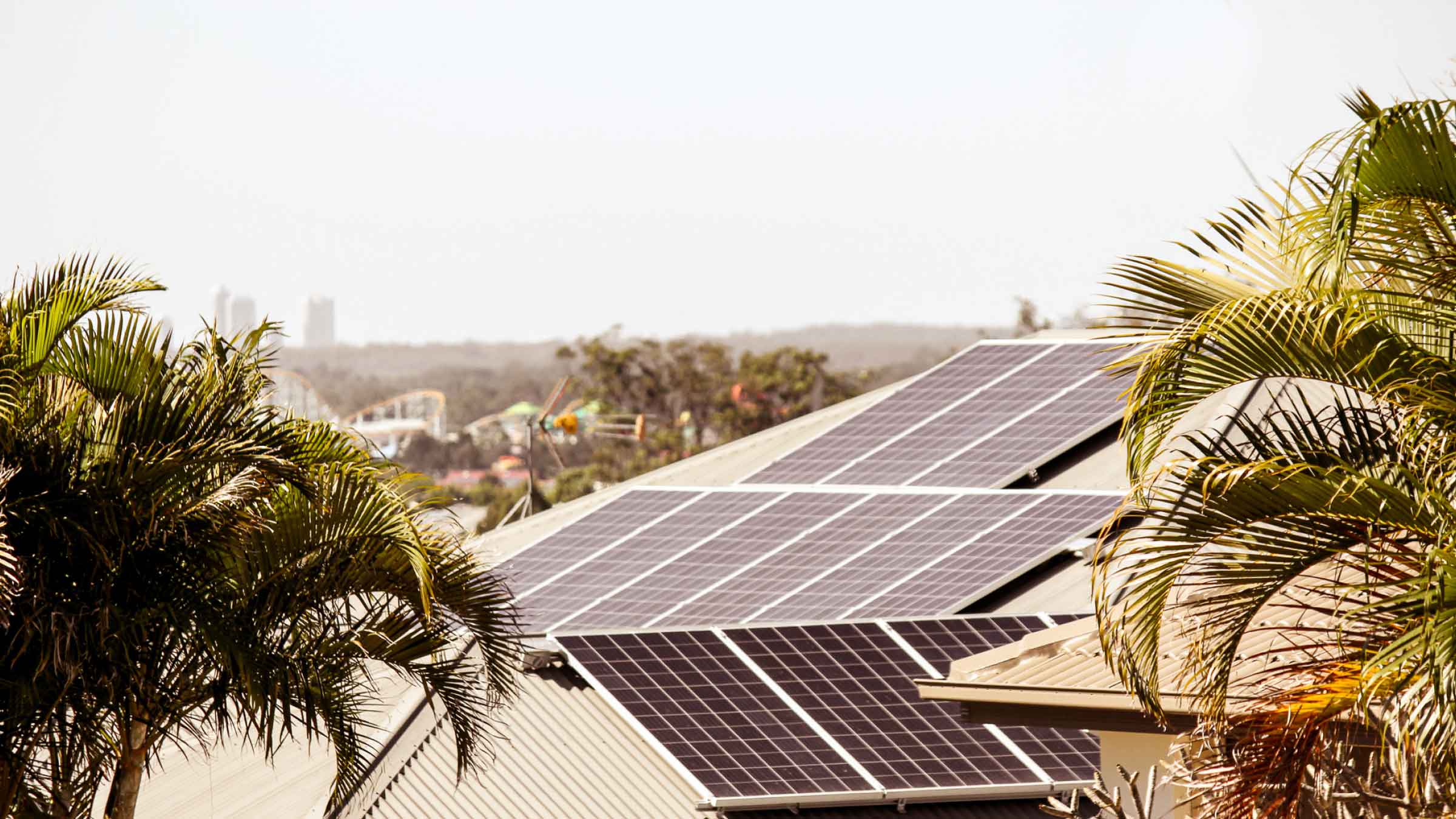 Suburban rooftops with solar panels installed, palm trees frame the photo on both sides, on a hazy afternoon.