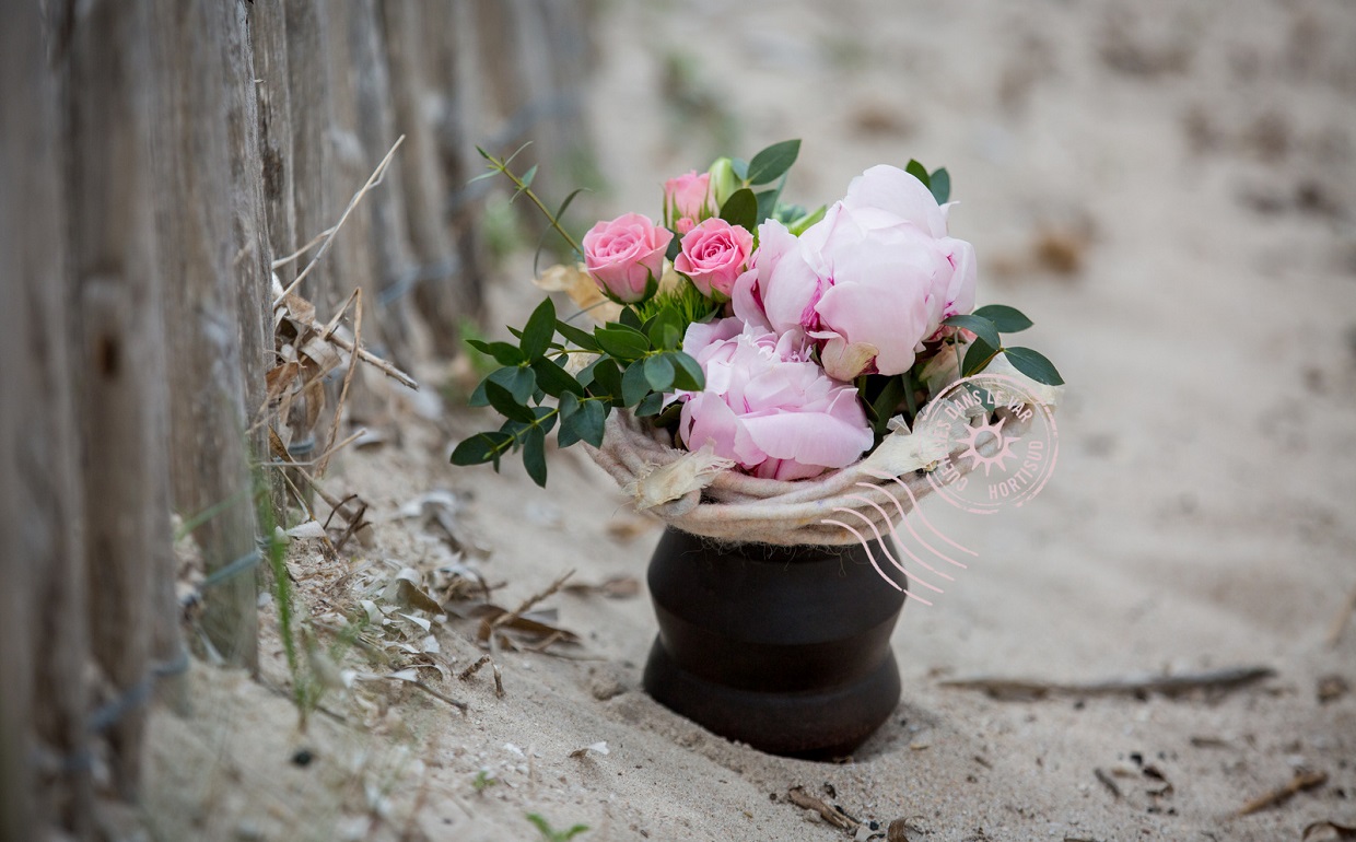 Pivoines et fleurs du sud