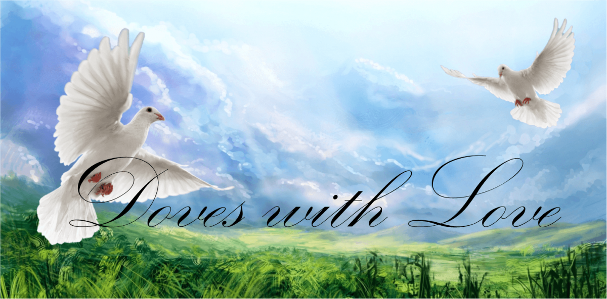 Doves with Lovecover photo