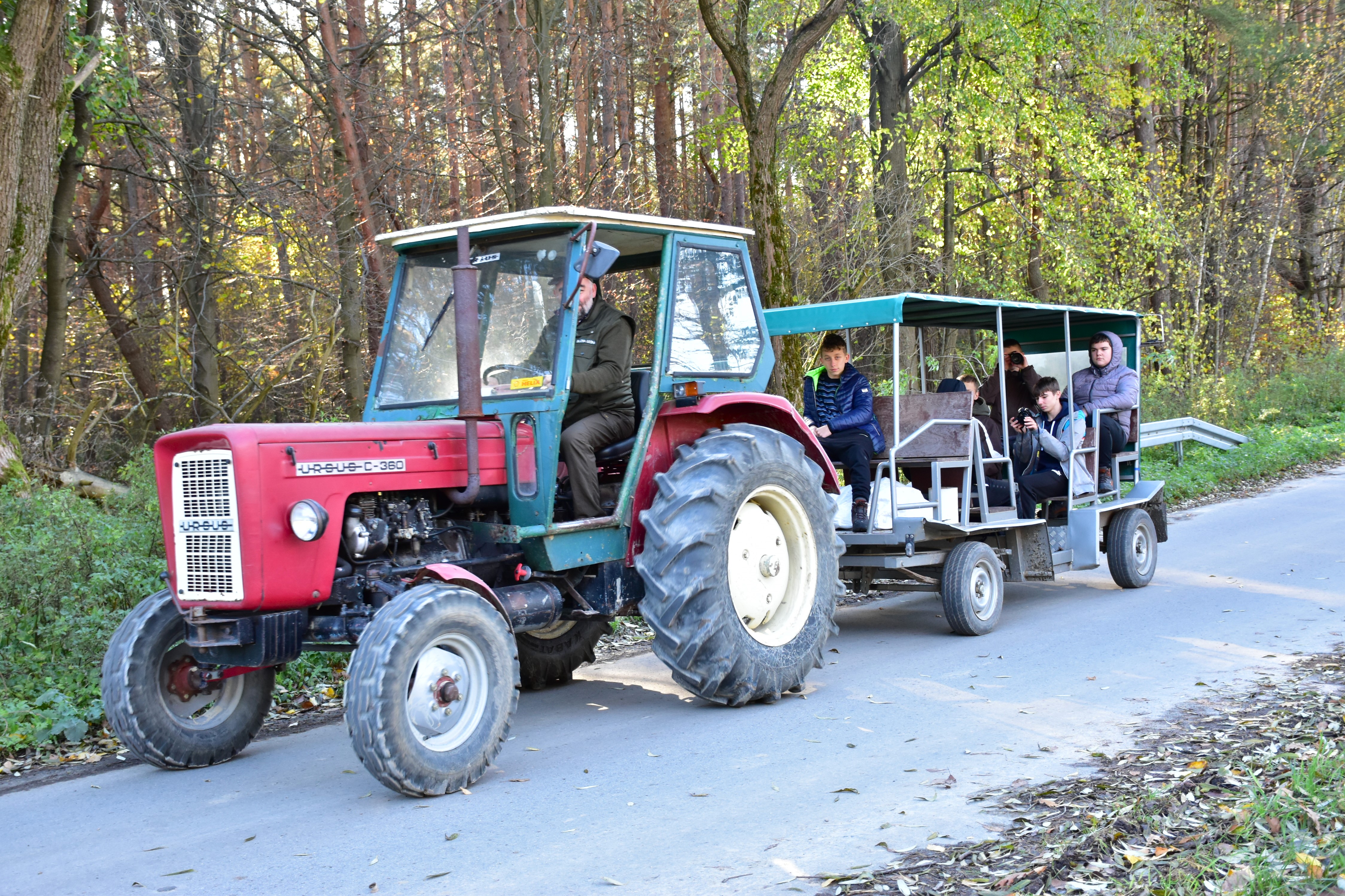 Blizny historii. Ślady II wojny światowej i nie tylko w naszej okolicy | Traktor jadący asfaltową dróżka, ciągnący przyczepkę, w której siedzą wychowankowie MOW. W tle ściana lasu..JPG