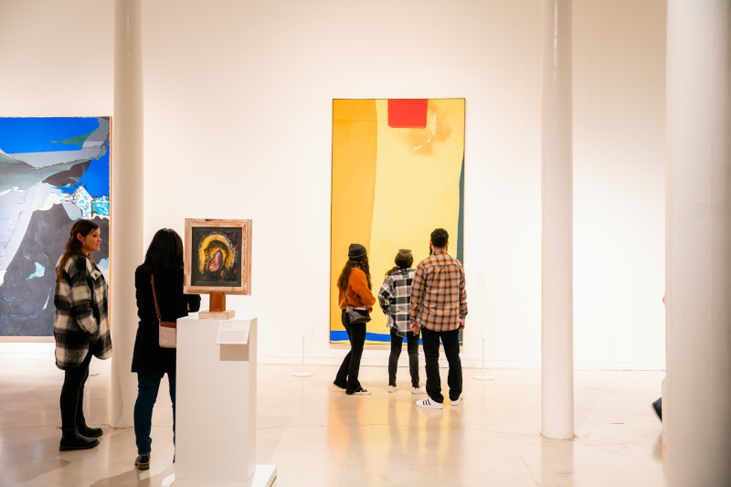 Gallery at the San Antonio Museum of Art.