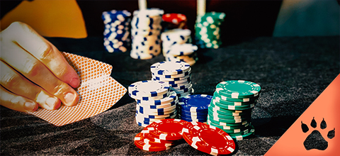 I nostri 5 migliori giochi di poker (Guida aggiornata al 2022) | News & Blog LeoVegas Casinò