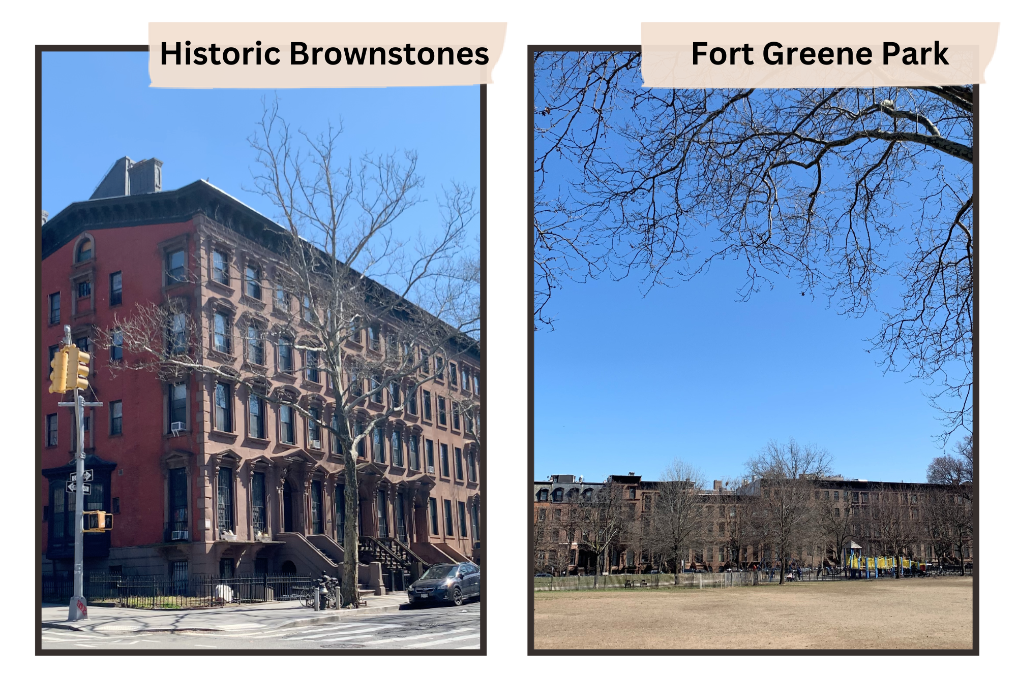 Brownstones and Fort Greene Park.png