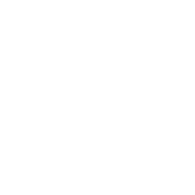 picture of Maarten Dedobbeleer