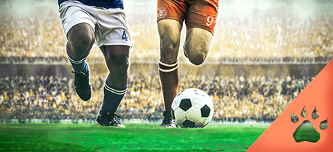 Tipos de apuestas de fútbol: Opción gol / no gol