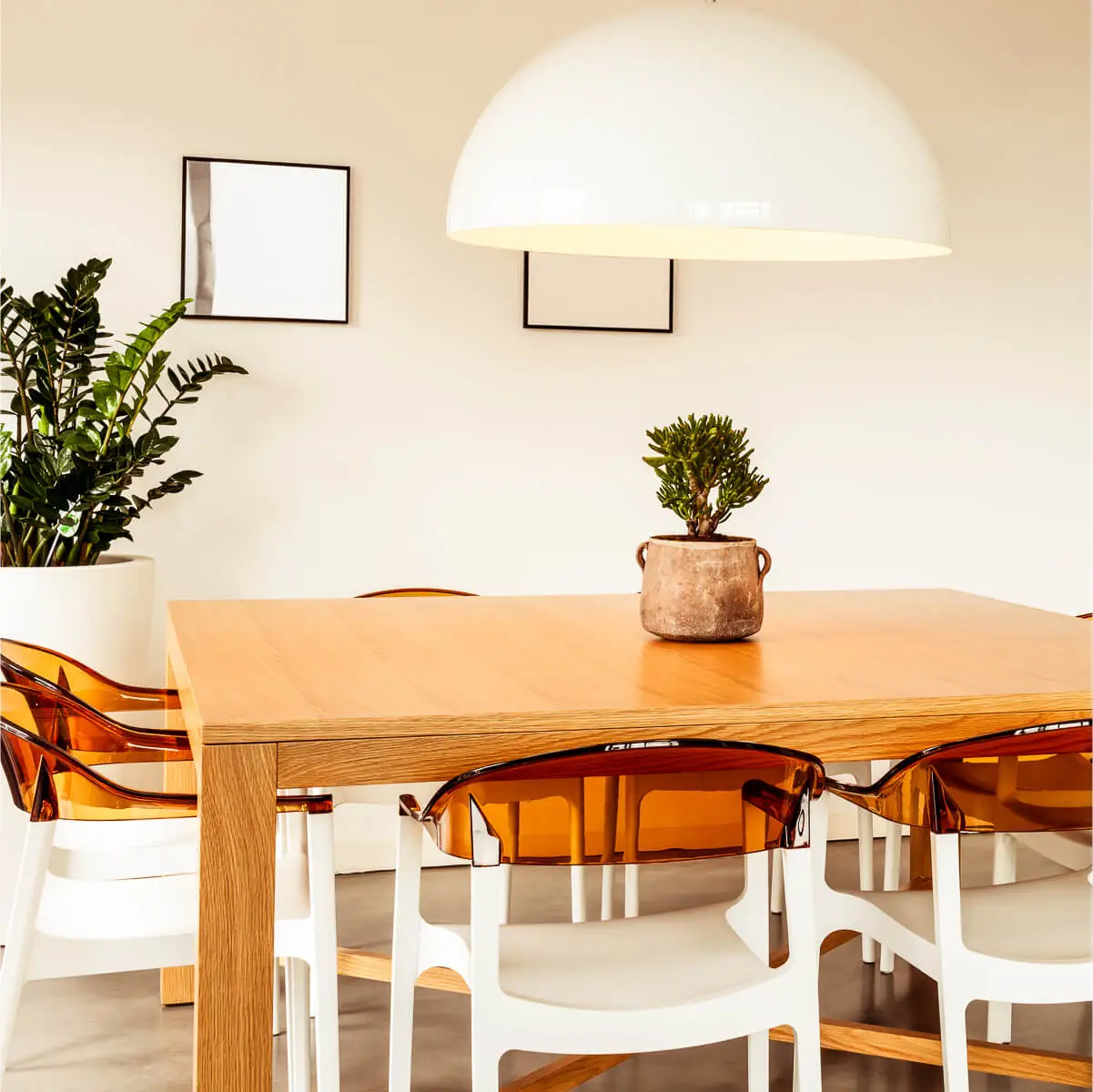 Large domed lamp shade hangs over a wooden dining room table with chairs surrounding it. Plants are dotted around the room.