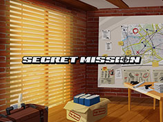 Secret Mission
