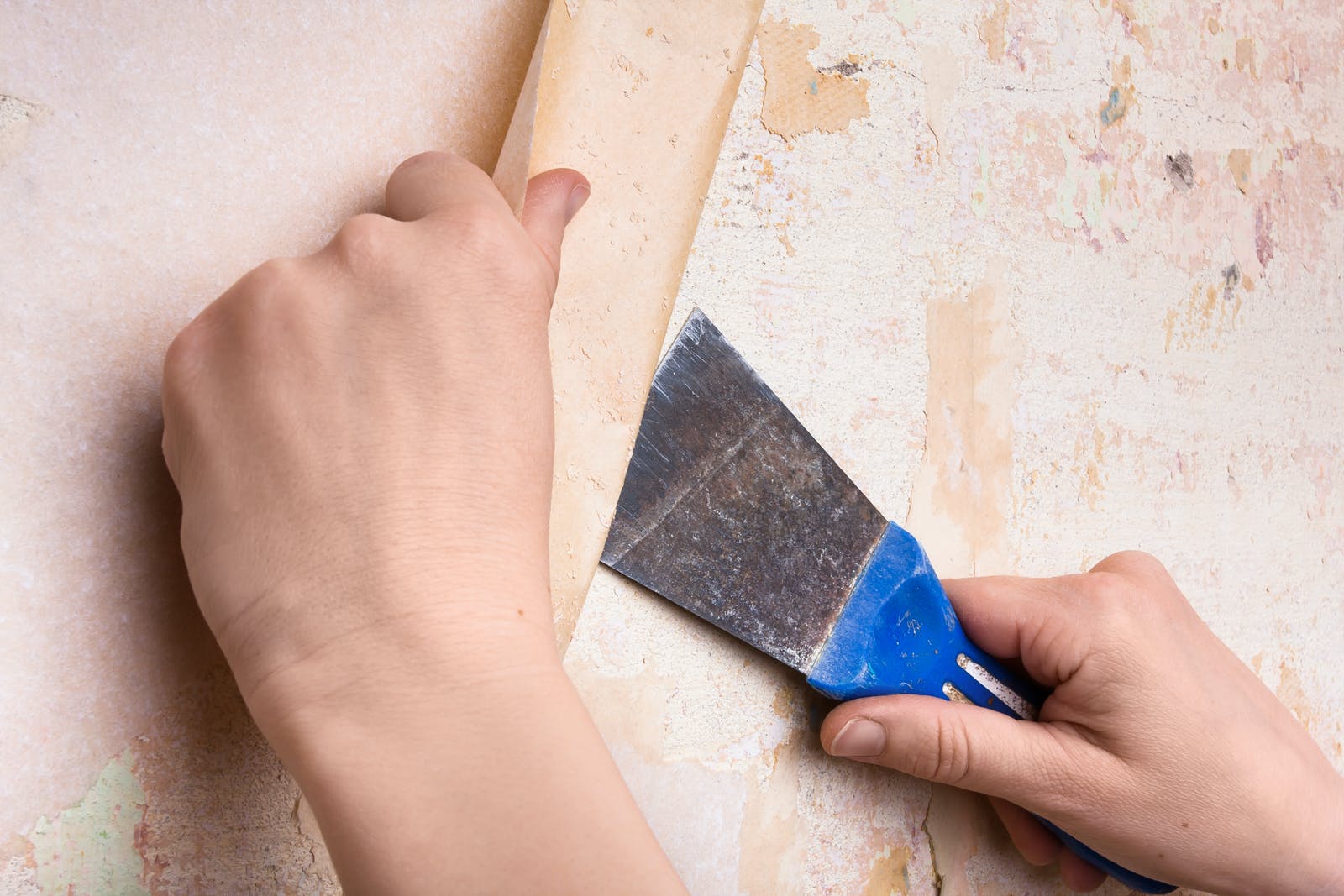 How To Remove Wallpaper Using A Wallpaper Steamer | Lick
