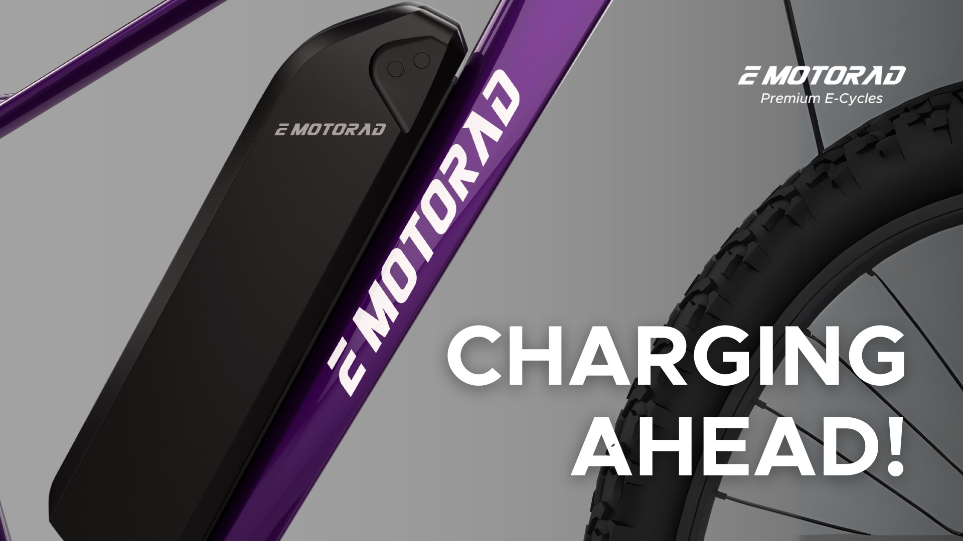 Electric Cycle Charger Guide Features How to Choose One How to Charge E Cycles