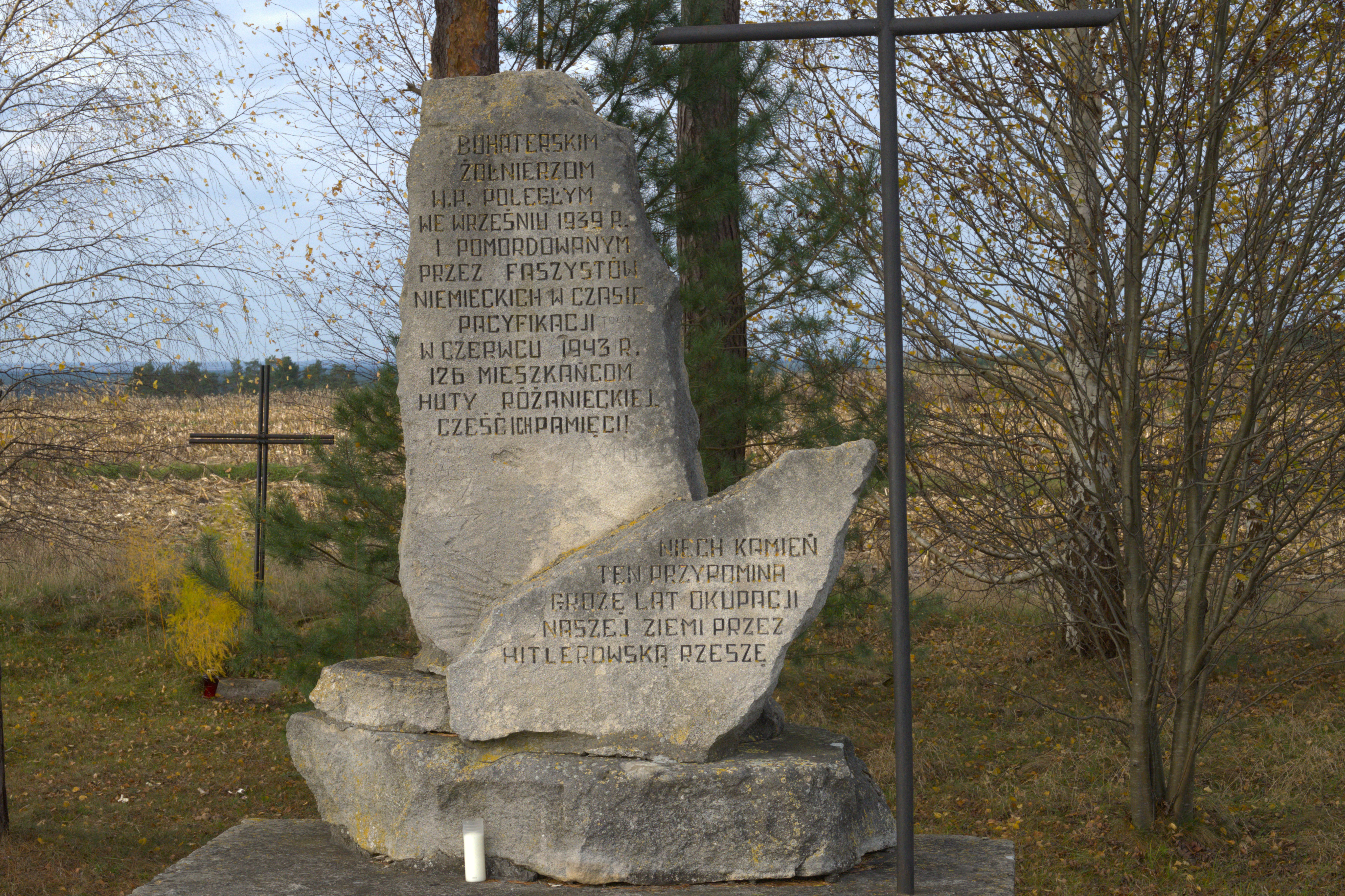 Blizny historii. Ślady II wojny światowej i nie tylko w naszej okolicy | Obelisk z białego kamienia z wyrytą inskrypcją, że poświęcony jest bohaterskim żołnierzom poległym we wrześniu 1939 roku. Obok duży czarny krzyż, z tyłu jeszcze jeden, mniejszy. Pod obeliskiem znicz, dokoła młode drzewka..jpg