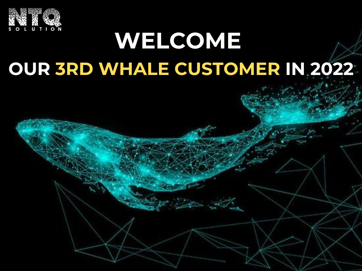 NTQ Solution Signed A Partnership Contract With The 3rd Whale Customer In 2022