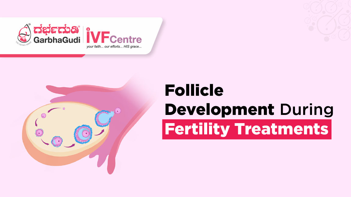 A Deep Dive into Follicle Development During Fertility Treatments