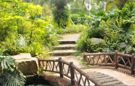 A bridge over a stream with steps in the distance