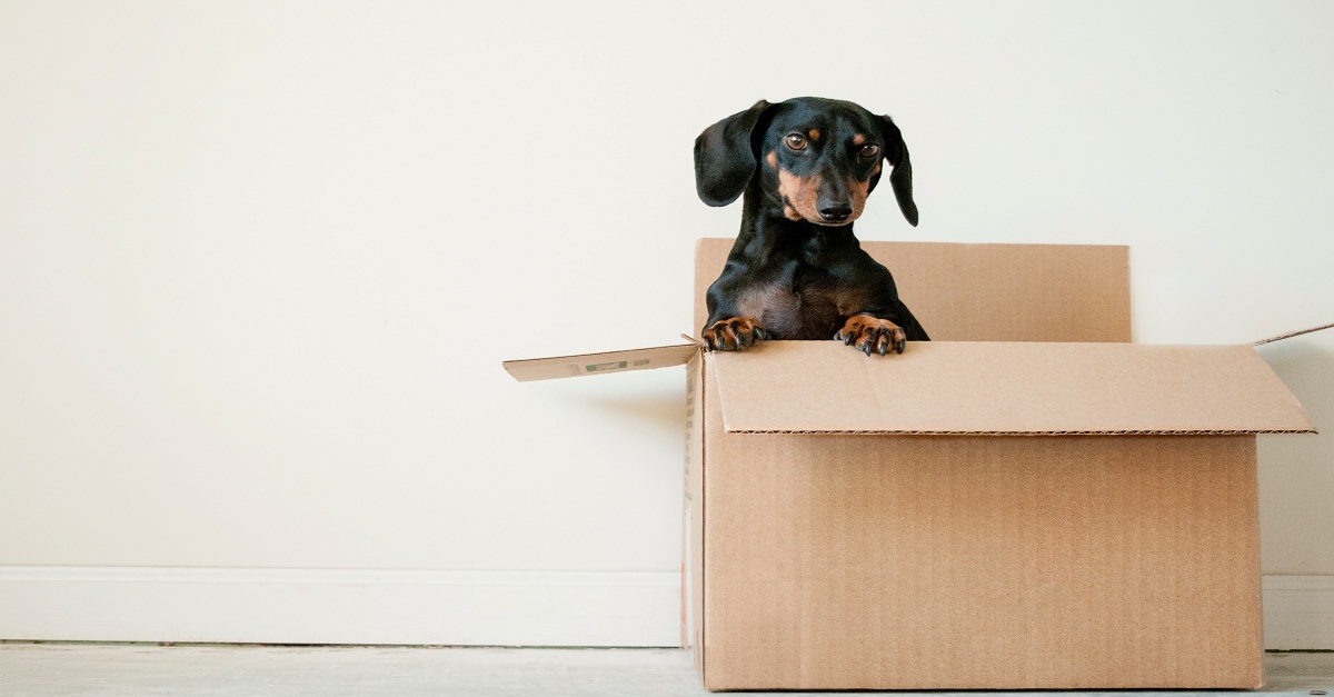 Shipping Profiles In Shopify: From A To Z [2023 Update]