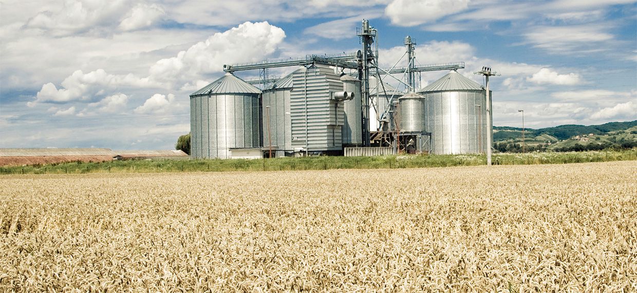 Réfrigération commerciale des céréales pour une qualité optimale des céréales