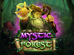 Mystic Forest