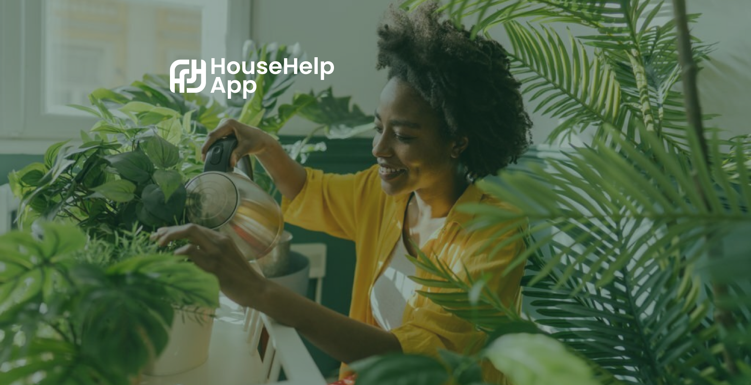 The Green Oasis at Home: Houseplants and Hacks for Thriving Greens